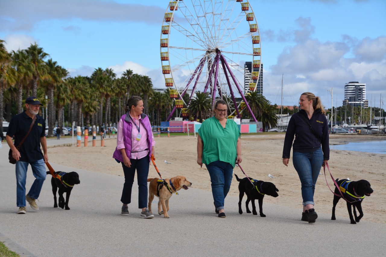 Patricia, Barkindji, and a group of carers with their dogs walking along a pier with a ferris wheel in the background.