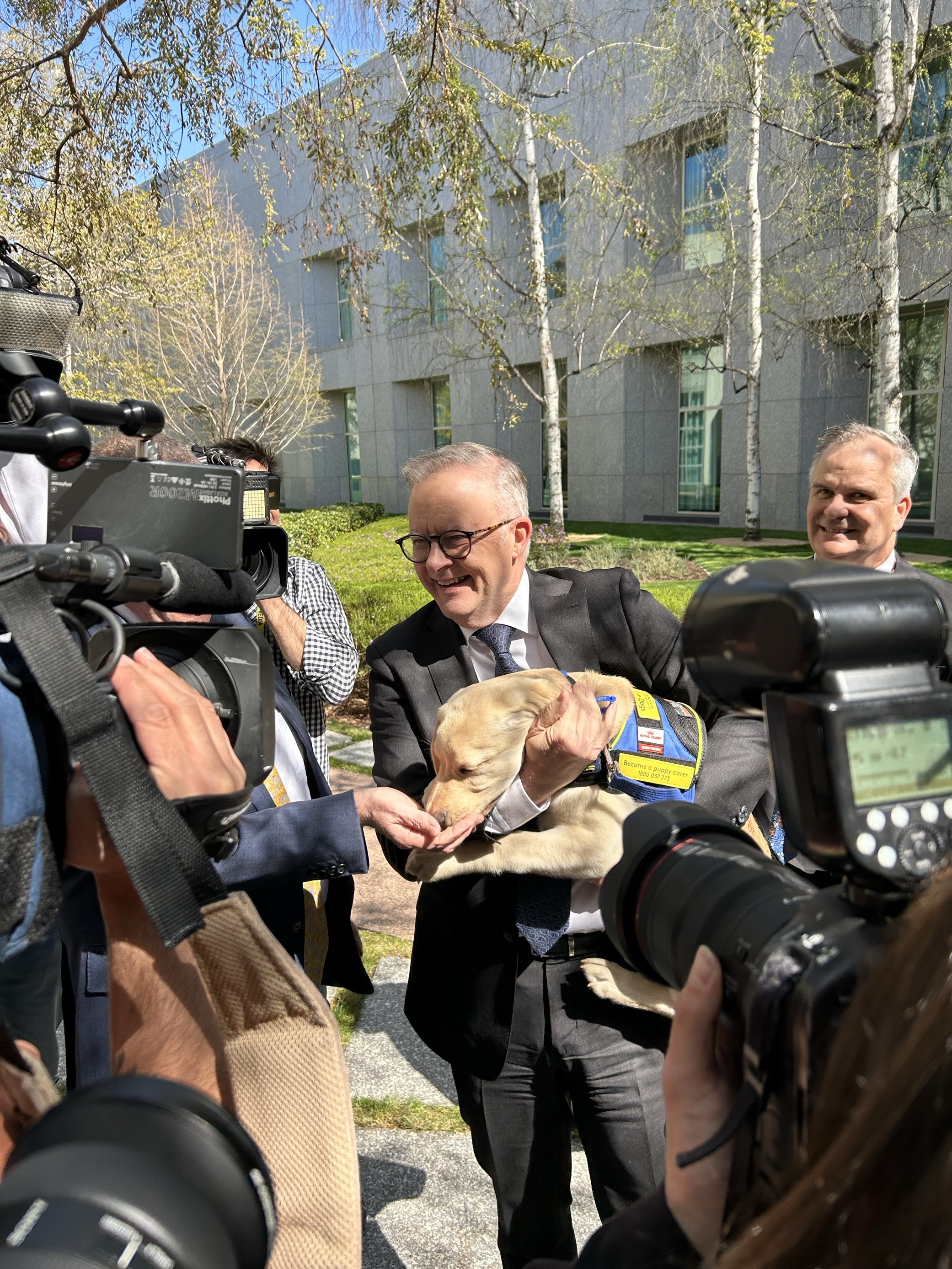 Australian Prime Minister Anthony Albanese holding a yellow Seeing Eye Dogs puppy