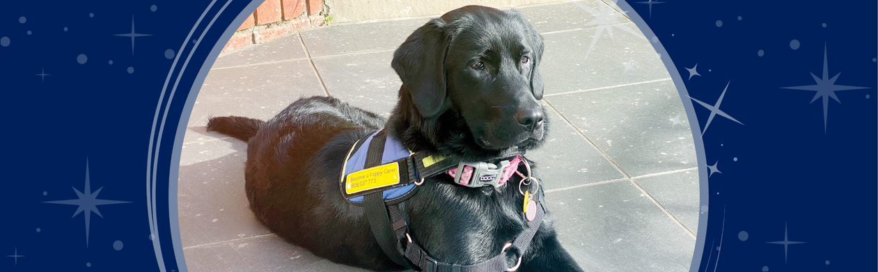 A black Seeing Eye Dog sits on the ground