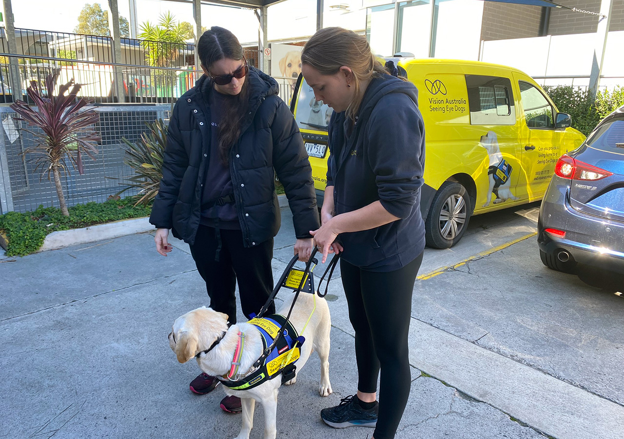 In a carpark, a Seeing Eye Dogs instructor explains something to a girl wearing a puffer jacket and sunnies while holding the harness of a yellow Seeing Eye Dog