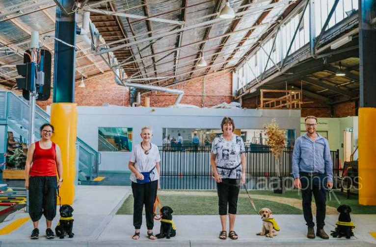 Four Labrador pups (one yellow, three black) stand with their puppy carers in the Seeing Eye Dogs training facility
